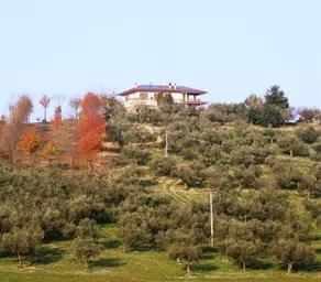 L'Oleandro - Image 3