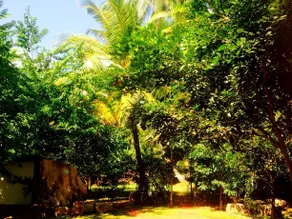 Ranmal Tourist Inn - Image 5