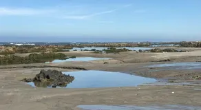 Apartamento Praia da Amorosa - Image 2