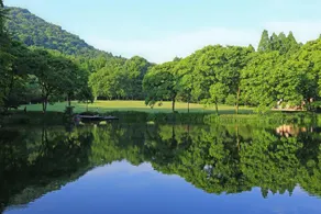 Hangzhou Daisy Youth Hostel - Image 2