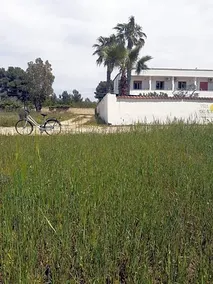 Hotel Villa del Sole - Image 4