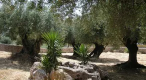 IL VELIERO - Image 3