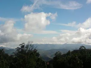 Doddabetta Resort - Image 5
