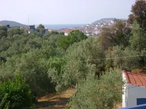 Diamantis Apartments - Image 5