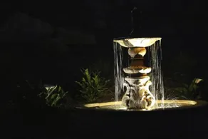 Arcadia in Rye - Image 3
