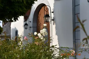 BAGOLYVáR PANZIó - Image 4