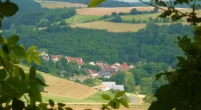 Ferienhaus Moscheltal - Image 3