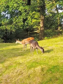 Wye Valley Retreat - Image 2