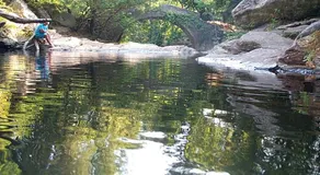 Pietracorbara les Chenes - Image 3