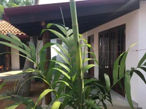 Dorian Guest House and Restaurant - Image 3