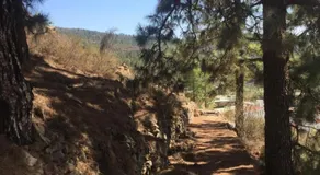 El Mirador - Image 4