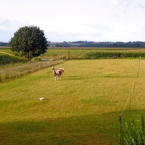 Ranch Bignaou - Image 3