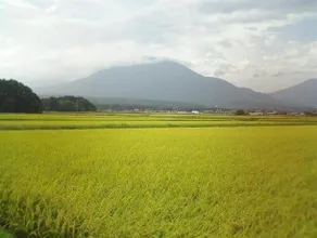 Country Pension Mori no Symphony - Image 4
