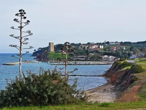 FantaSea View by TravelPro Services Nea Fokaia Halkidiki - Image 1