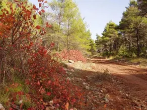 Adamakis Studios - Image 4