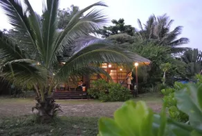 Monkey Island Resort - Image 2