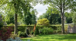 Vakantiehuisje Wenum Wiesel - Image 4
