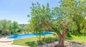 Finca Calma Ses Morriones - Image 2