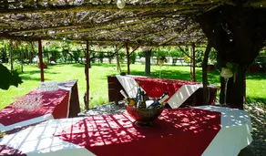 Agriturismo La Penisola - Image 4
