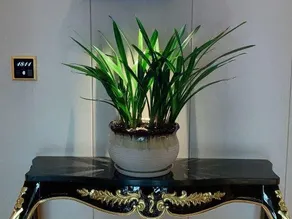 Jinlong Yufeng Hotel - Image 3