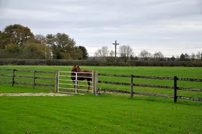 B&B Haras De La Cour Fleury - Image 3