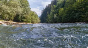 Smileys Fluss Chalet - Image 4