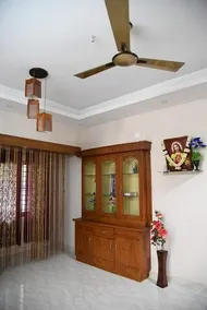 Rain Tree - Image 4