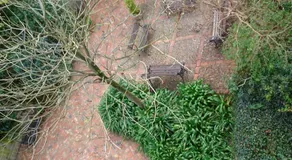 Casa de Guela - Image 5