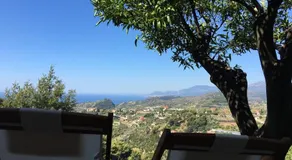 Il mandarino - Image 4