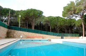 Bosmar - Image 4
