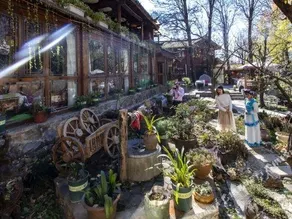 Lijiang Cotton Homestay (Shuhe Ancient Town) - Image 5