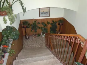 Il Nocciolo - Image 4