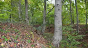 Domki Klimkowka - Image 4