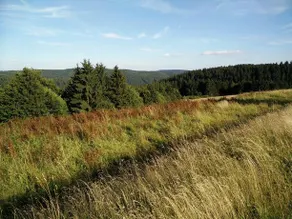 Wanderunterkunft In Frauenwald - Image 2