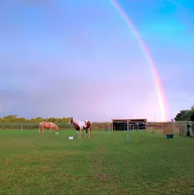 Ranch Bignaou - Image 4