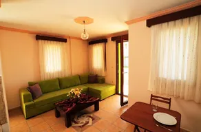 Lemon Tree - Image 2