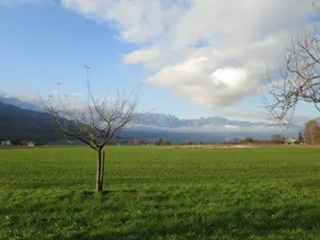 B&B Am Büel - Image 4