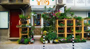 Nice Place - Image 2