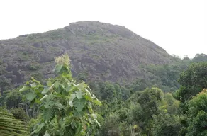 Beth Haran Serviced villa - Image 2