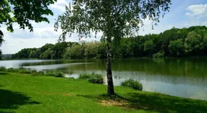 Levendula Rönkház Őrség - Image 3
