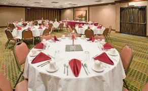 Holiday Inn Saint Louis - South (I-55) - Image 4