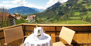 Hotel Mitlechnerhof - Image 5