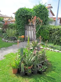 B&B Ponte Marchese - Image 3