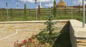 Pensiunea Agroturistica Zana Muntilor - Image 3