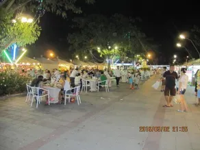 Paradise Beach Garden - Image 2