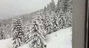 Nature House Predeal - Image 3