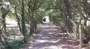The Manors - Image 5