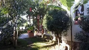 Villa Joel - Image 4