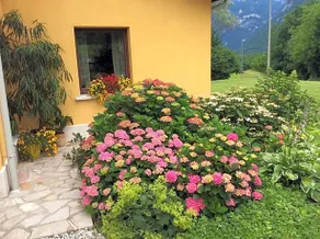 Casa Edith - Image 3