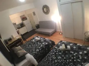 Renovated Studio Loft Downtown NYC 43 - Image 4